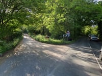 Injured walker rescued after fall in wooded hillside near Petersfield