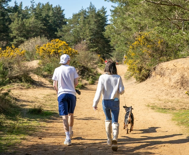 Family duathlon is perfect fit for Bordon beauty spot