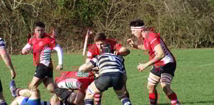 Seventeen matches without defeat as Petersfield rugby club march on