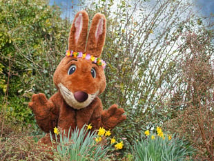 Easter Bunny is giving a seasonal feel to Marwell Zoo