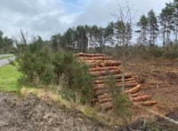 Games firm plays part in creation of wildlife habit off Bordon bypass