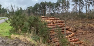 Games firm plays part in creation of wildlife habit off Bordon bypass