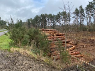 Games firm plays part in creation of wildlife habit off Bordon bypass