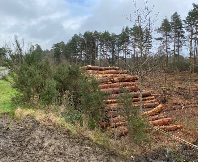 Games firm plays part in creation of wildlife habit off Bordon bypass