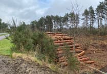 Games firm plays part in creation of wildlife habit off Bordon bypass