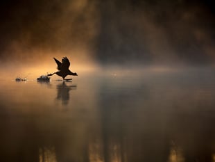 Stunning pond photo sees teen win Young Photographer of the Year prize
