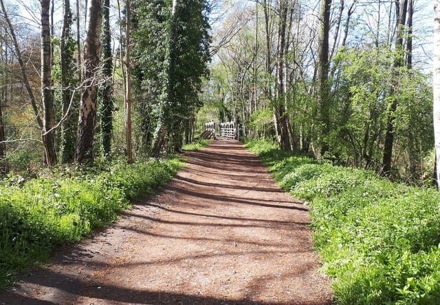 Nature calls: Learn more about East Hants river at Liss event