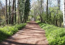 Nature calls: Learn more about East Hants river at Liss event