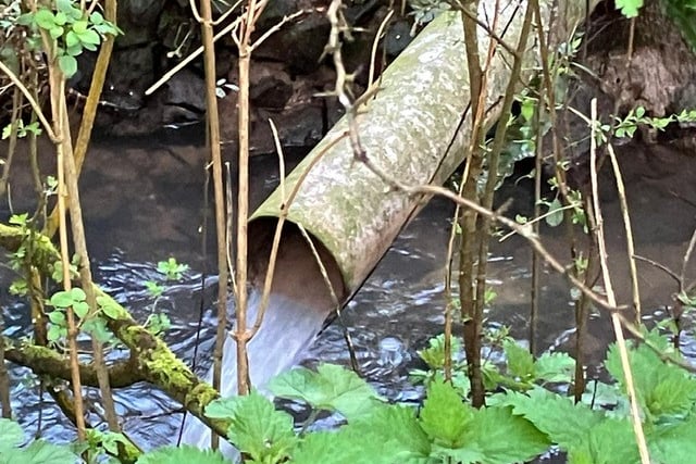 More sewage discharged into the River Wey