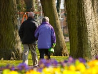 Around two miles of green footpaths within walking distance in East Hampshire