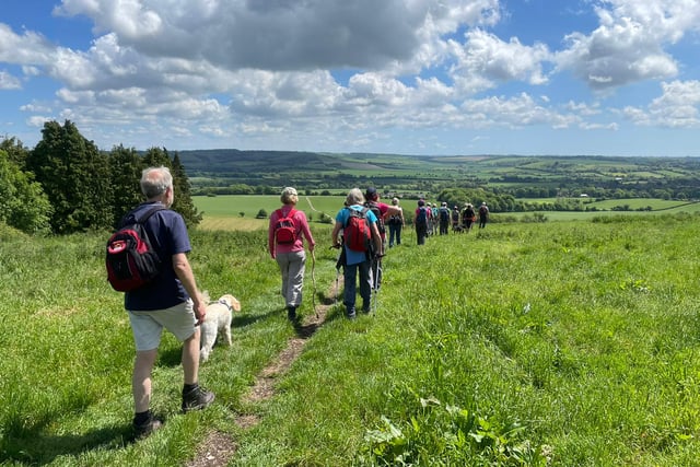 Book your space on an Alton Walking Festival walk this weekend