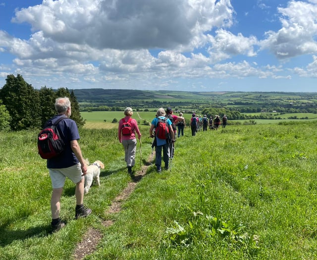 Book your space on an Alton Walking Festival walk this weekend