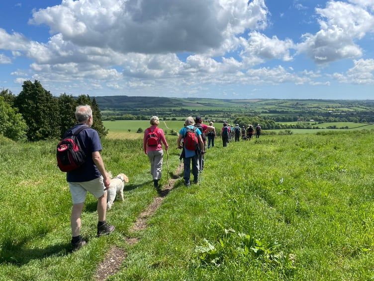 An Alton Walking Festival walk near West Meon.