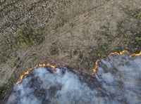 Surrey’s woodlands under threat as wildfires rise by 700% this year