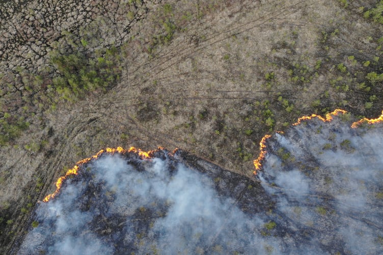 Wildfire image Surrey Fire and Rescue service