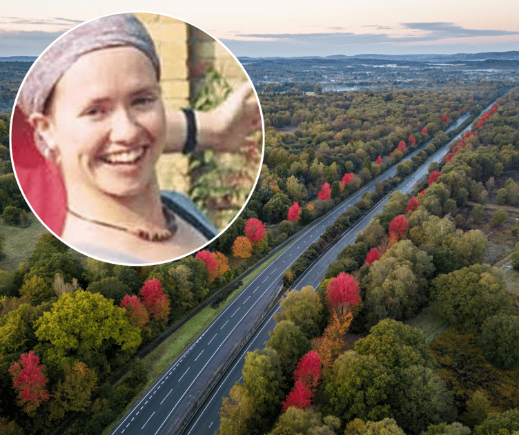 Essex teenager Dinah McNicol was picked by her killer Tobin on the A3 after attending the Torpedo Music Festival on Bramshott Common, near Liphook