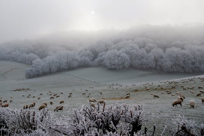 Hoar frost morning at Didling by Martin Offer