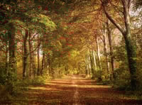 South Downs photography competition returns with £100 top prize