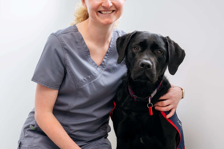 Warrior with Vet Laura Gallagher