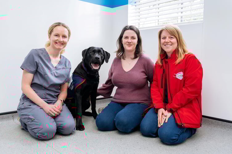 St Peters Vet and Warrior the battery swallowing dog