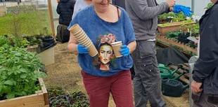 Interest grows in community polytunnel