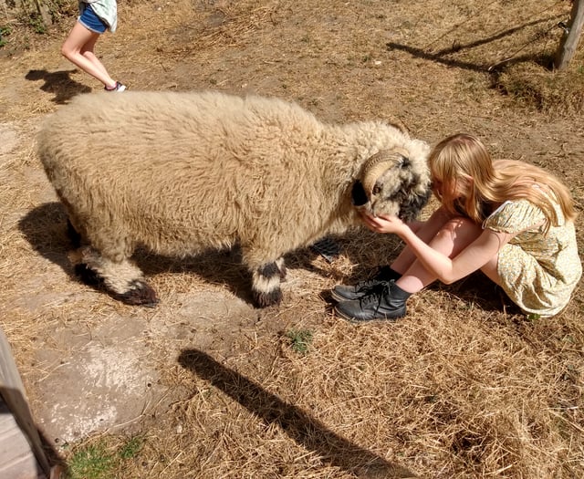 Change of scene for Rowledge charity as new home secured