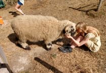 Change of scene for Rowledge charity as new home secured in Frensham