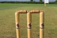 County scheme bats for young cricketers