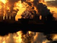 Air pollution causes one in 20 deaths in East Hampshire