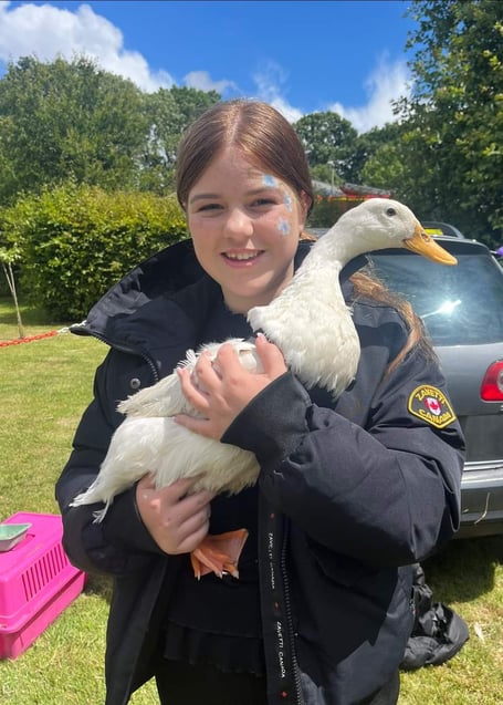 Lindford Fete Goose