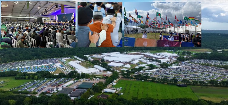 Jalsa Salana Collage Worldham