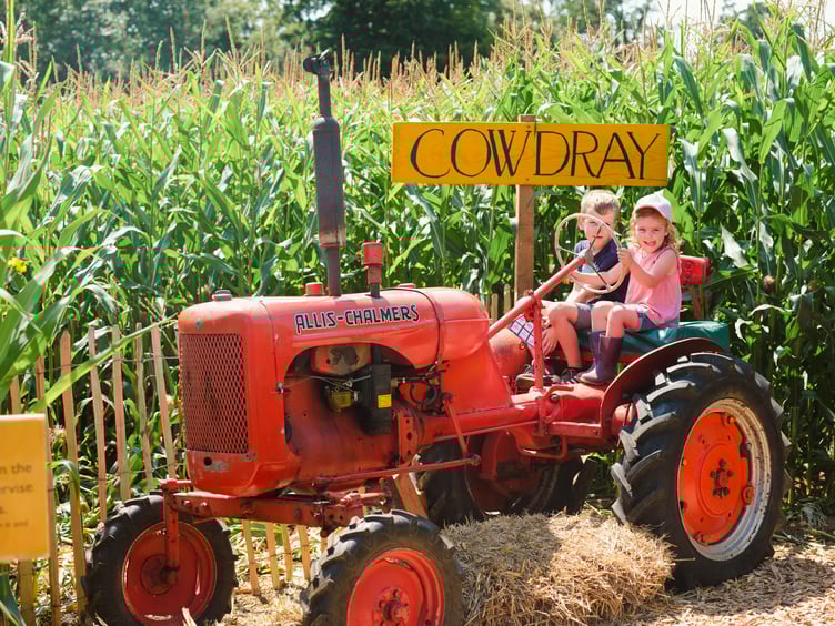 Children enjoy everything that Cowdray's Maize Maze has to offer 2024