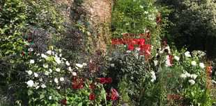 Interest growing in garden open events