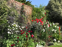 Interest growing in garden open events