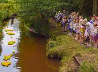 Fowl play on the Wey as crowd goes quackers for duck race