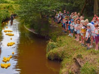 Fowl play on the Wey as crowd goes quackers for duck race