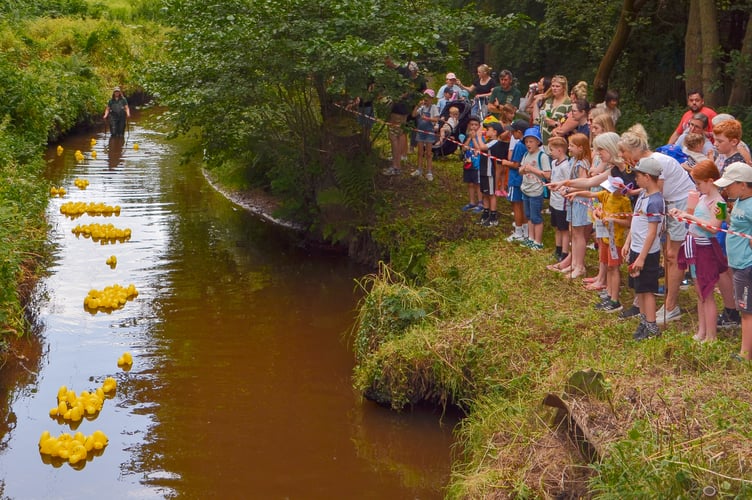 Deadwater Valley Trust Duck Race Bordon Pic1