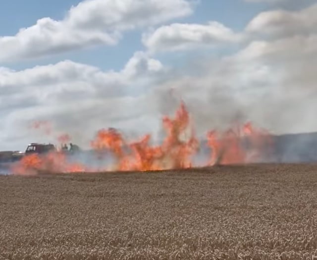 Fields of fire as crews battle blaze at Medstead farm