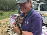 Exotic bugs come to Bordon as creepy crawlies are a hit with children