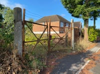 Homes and 'wildlife corridor' plan for coal yard site