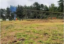 Timber! End of an era as mast comes tumbling down at Whitehill beauty spot