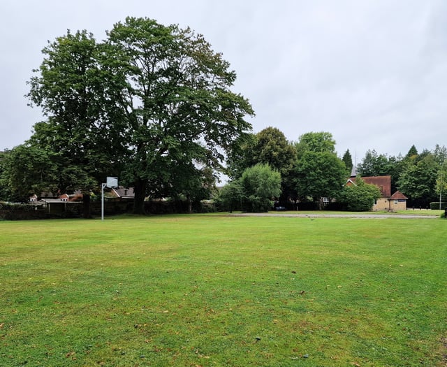 No new skate park for recreation ground in Liphook