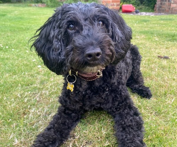 Margo was reunited with her family after going missing for 19 days