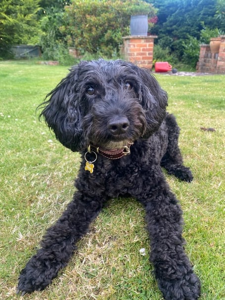 Margo was reunited with her family after going missing for 19 days