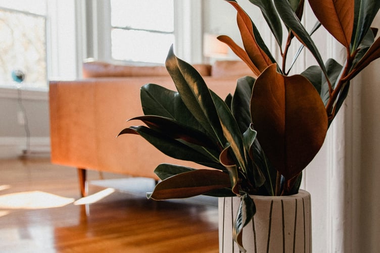 autumn decor