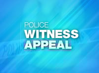 Police appeal for witnesses after attempted burglary in Petersfield