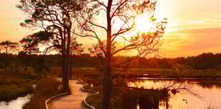 Surrey and Hampshire in top three for UK’s best walking spots 