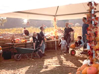 Rogate Pumpkin Patch returns for its 10th year 