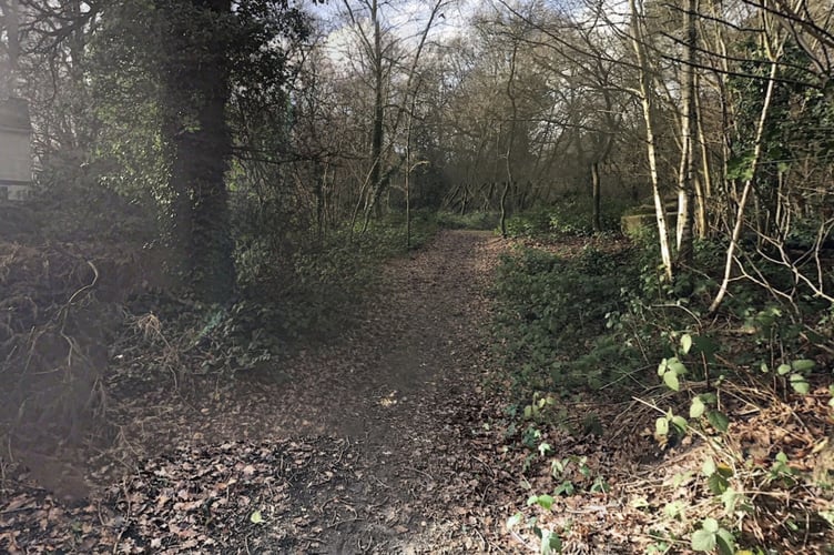 Bordon Inclosure rape site google