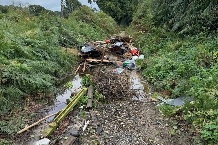 Blackmoor Flytipping Pic2